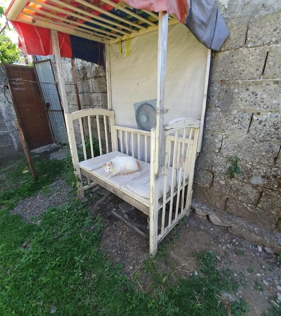 ゲストハウス Nazmir'S Guesthouse Shkodër